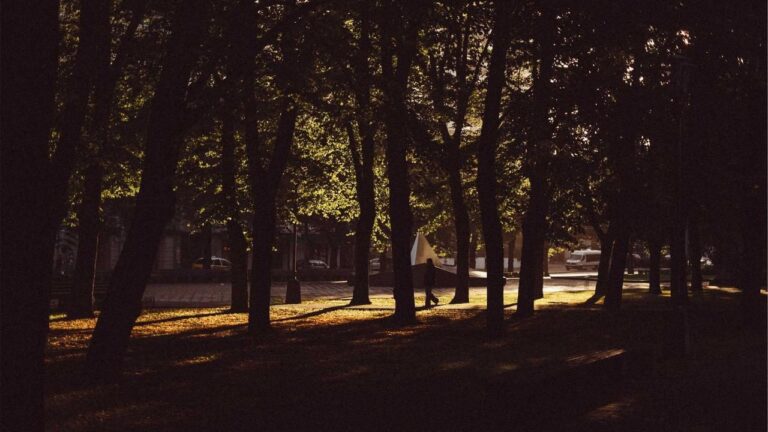 Symbolbild zum Thema POL-GT: 22-jähriger Fahrradfahrer schwer verletzt