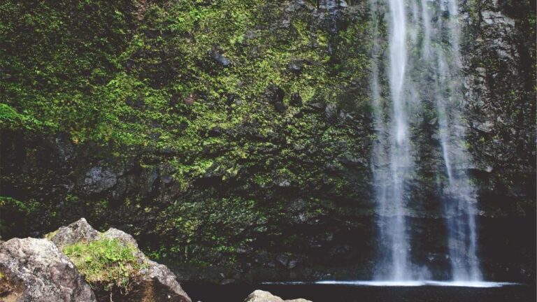 Symbolbild zum Thema POL-MS: Nach Unfallflucht und Alkoholfahrt - 34-Jährige leistet Widerstand