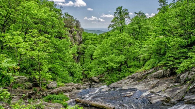 Symbolbild zum Thema PP Ravensburg: Meldungen aus dem Bodenseekreis