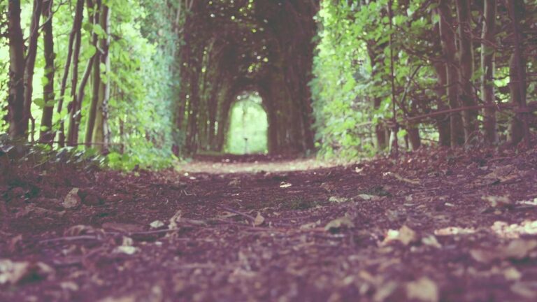 Symbolbild zum Thema BPOLI LUD: Von Ludwigsdorf nach Baku - Bundespolizei verweigert Einreise