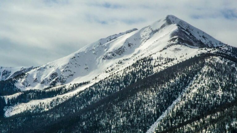 Symbolbild zum Thema POL-FR: Hasel: Unfall aufgrund Ausweichmanöver