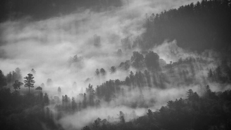 Symbolbild zum Thema POL-RZ: Unfallbeteiligter gesucht
