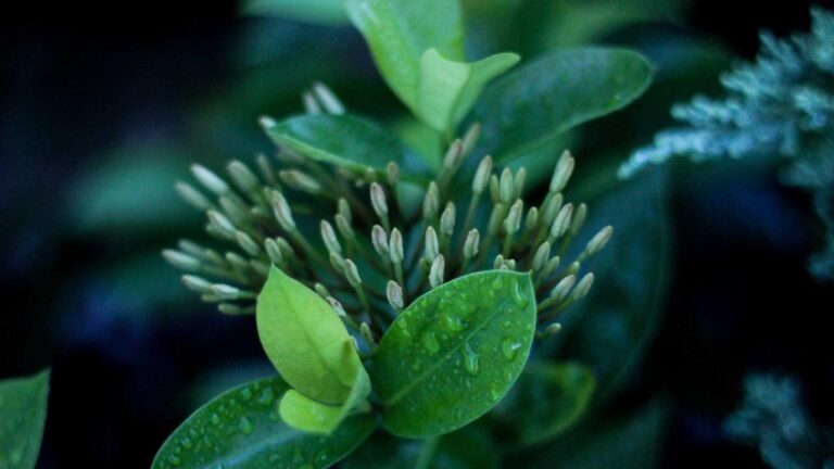 Polizei warnt vor betrügerischen Spendensammlern in Weyhausen und Meinersen Symbolbild zum Thema POL-GF: Achtung - betrügerische Spendensammler