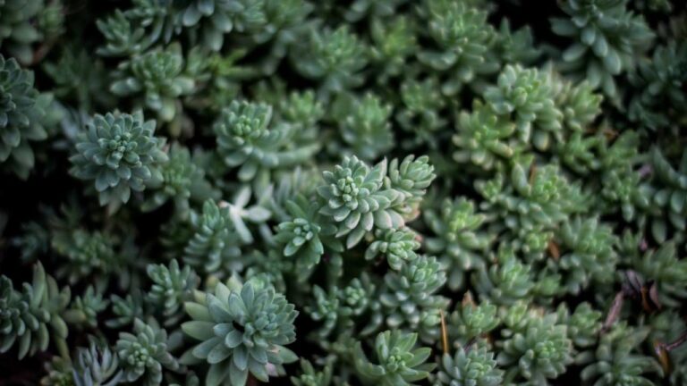 Symbolbild zum Thema POL-BI: Täter-Duo nach Bedrohung mit Baseballschläger gesucht