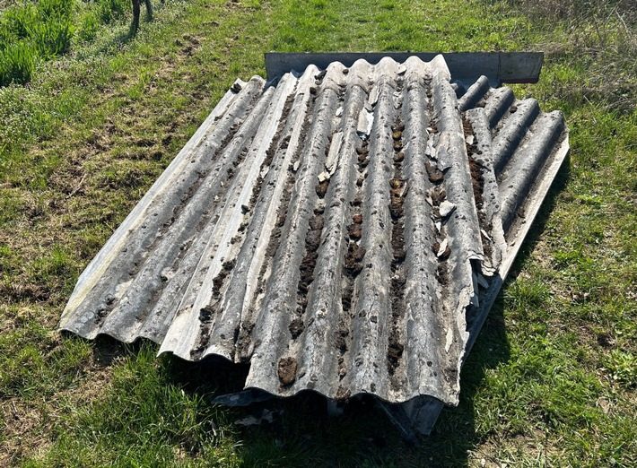 Illegale Entsorgung von Asbestplatten in Edenkoben sorgt für Ermittlungen Asbestplatten am Wegesrand in Edenkoben