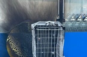 Schlüsselbund in Wittlich verloren – Polizei bittet um Hinweise zu möglicher Unterschlagung Polizeidirektion Wittlich Gebäude