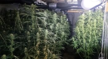 Zwei räuberische Erpressungen in Lingen – Polizei sucht Zeugen Polizeieinsatz in Lingen